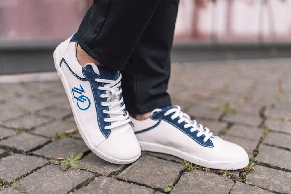 CEDRIQ Blue
