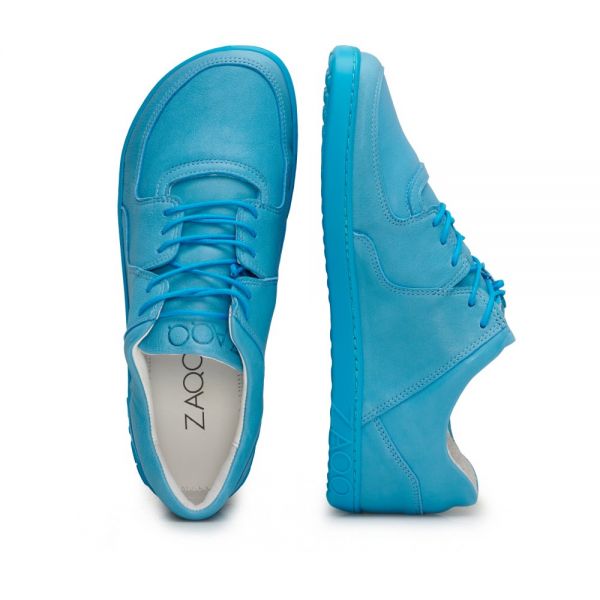 IVIQ Blue