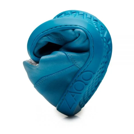 IVIQ Blue